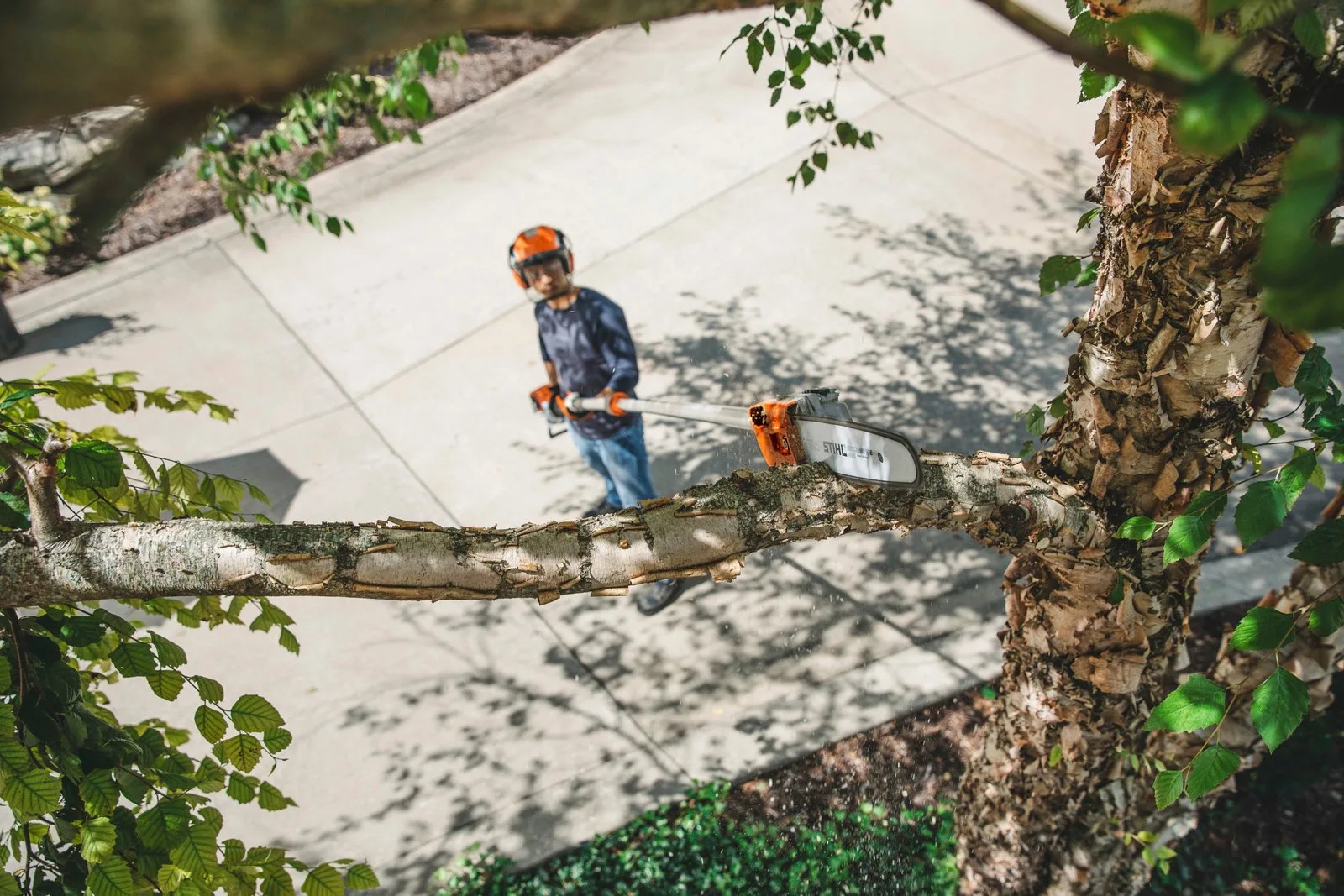 Бензиновый высоторез STIHL HT 135 — фото производителя