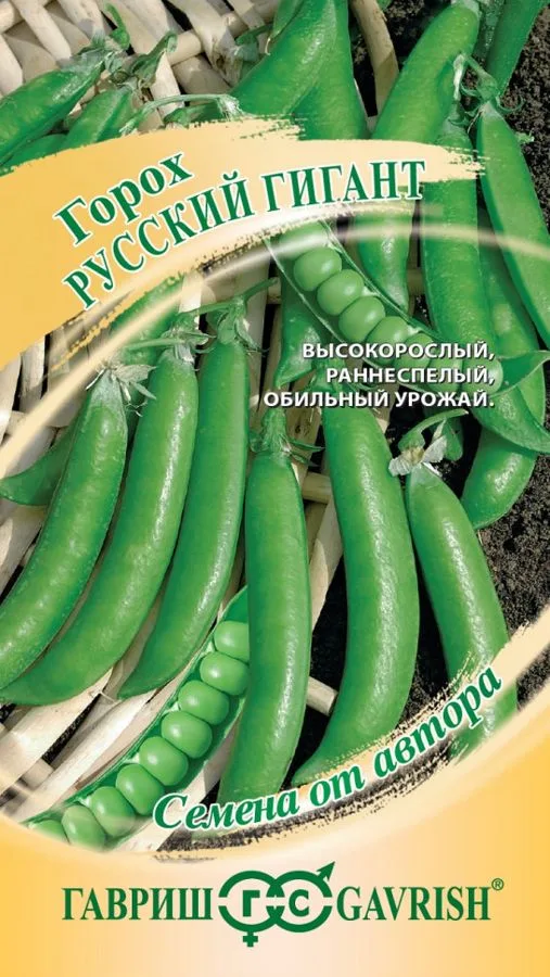 Фасоль Русский гигант