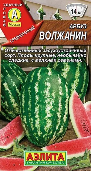 Арбуз Волжанин
