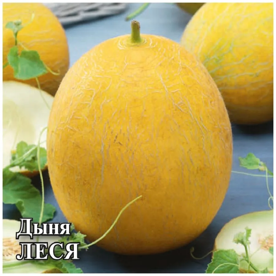 Дыня Леся