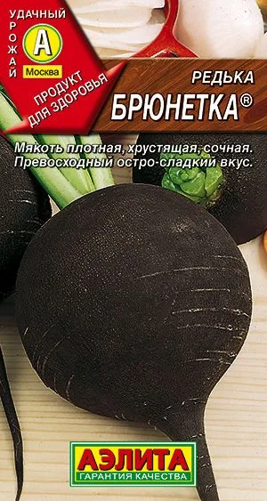 Редька Брюнетка
