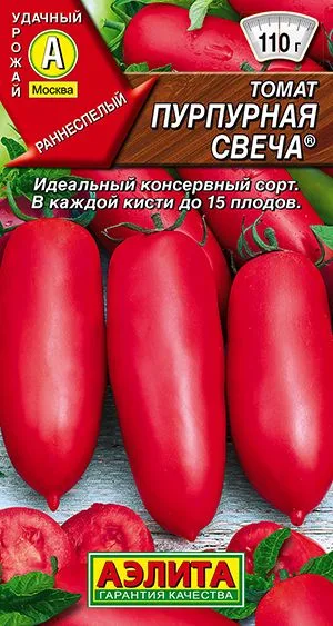 Томат Пурпурная свеча