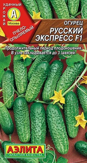 Семена: Огурец Русский экспресс F1