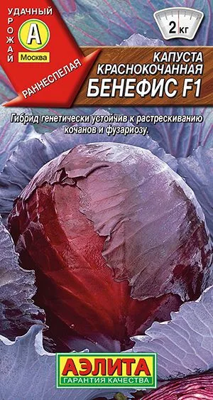 Капуста к/к Бенефис F1