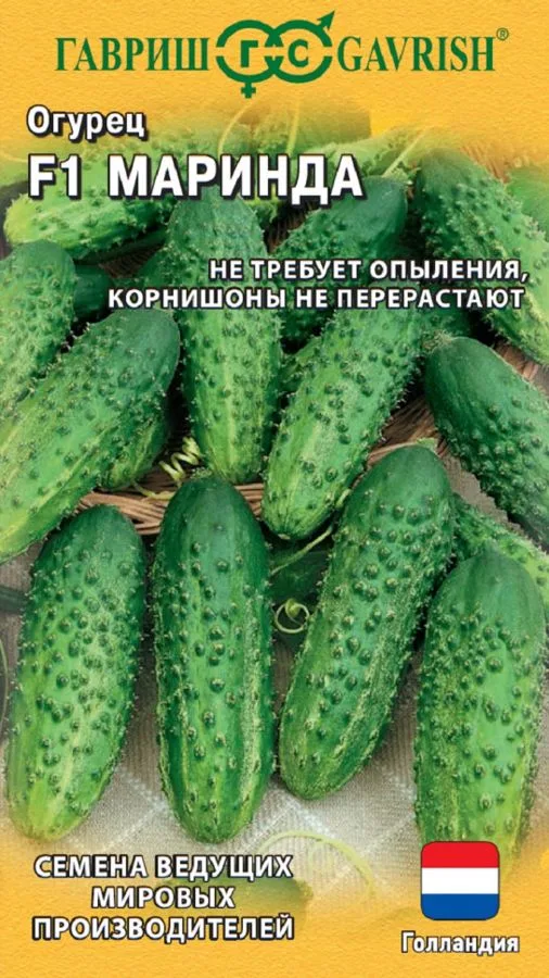 Семена: Огурец Маринда F1