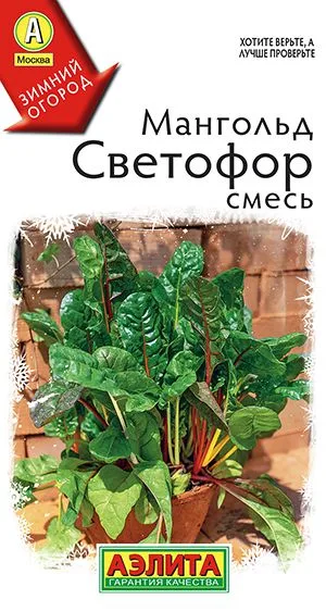 Салат Мангольд Светофор, смесь