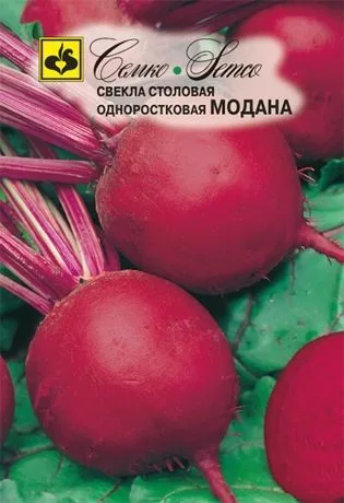 Свёкла Модана