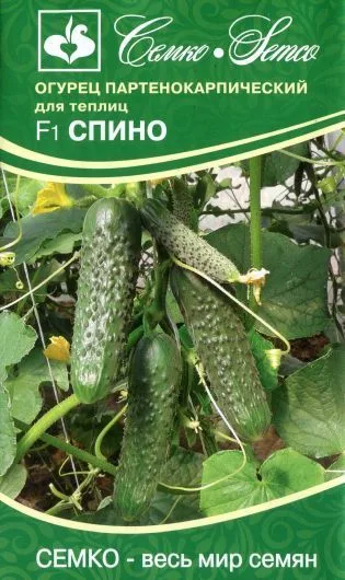 Огурец Спино F1