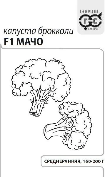 Капуста брокколи Мачо F1