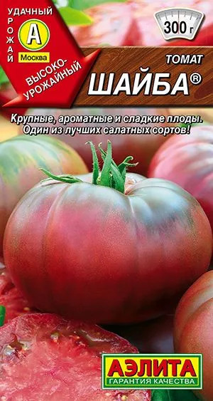 Томат Шайба