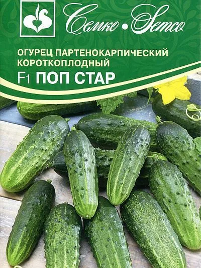 Огурец Поп Стар F1