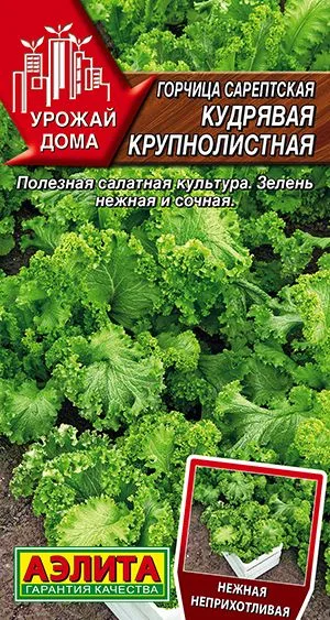 Пряные травы Горчица сарептская Кудрявая крупнолистная