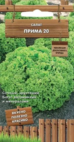 Салат Прима 20