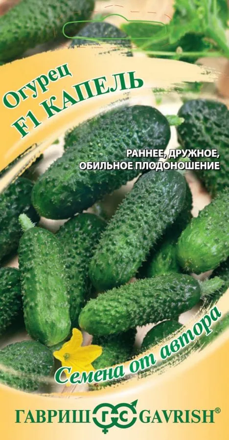 Огурец Капель F1