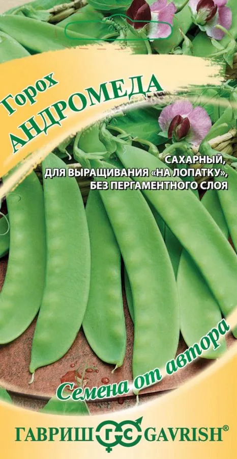 Семена: Фасоль Андромеда