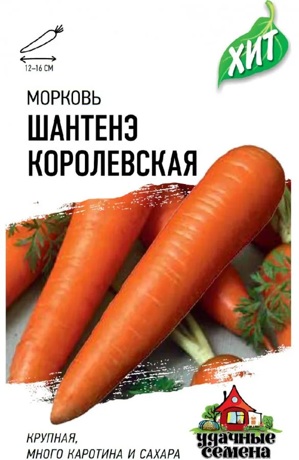 Морковь Шантенэ королевская