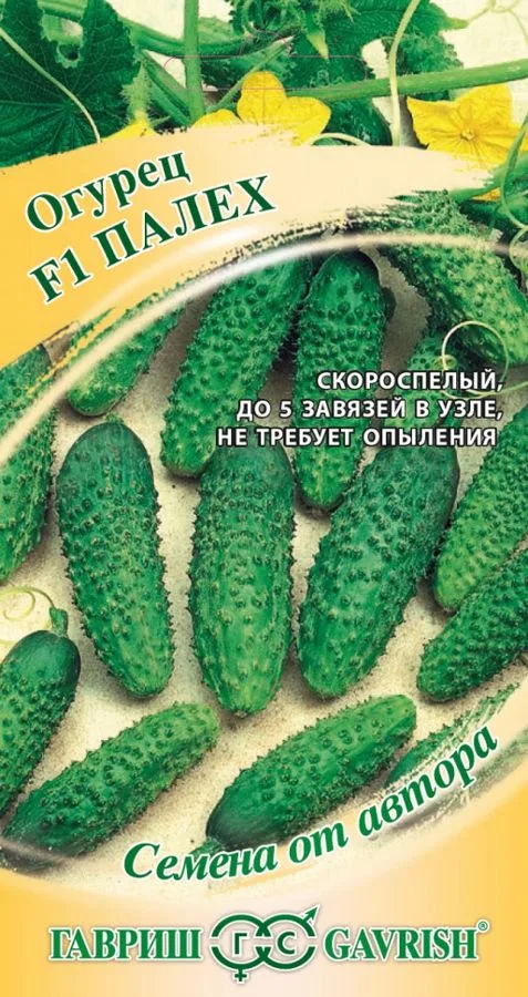 Огурец Палех F1
