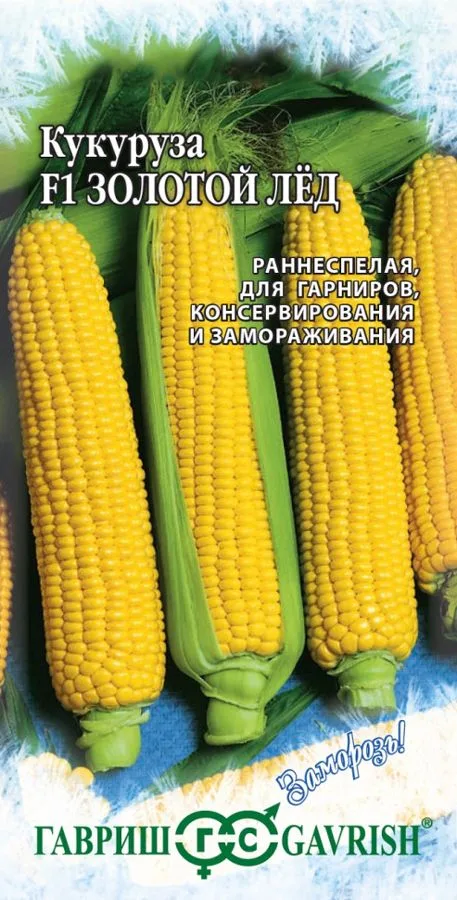 Кукуруза Золотой лед F1