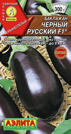 Семена: Баклажан Черный русский F1