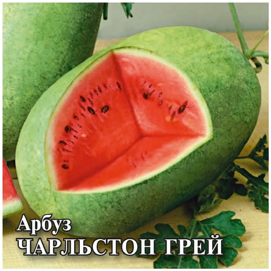 Арбуз Чарльстон Грей