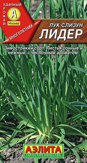 Лук слизун Лидер