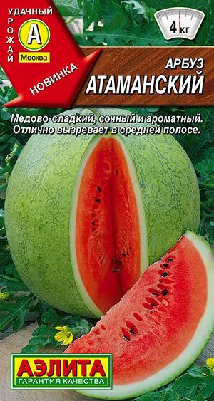 Арбуз Атаманский