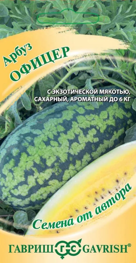 Арбуз Офицер