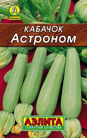 Кабачок белоплодный Астроном