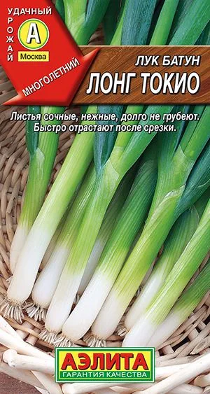 Лук батун Лонг токио