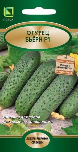 Семена: Огурец Бьерн F1