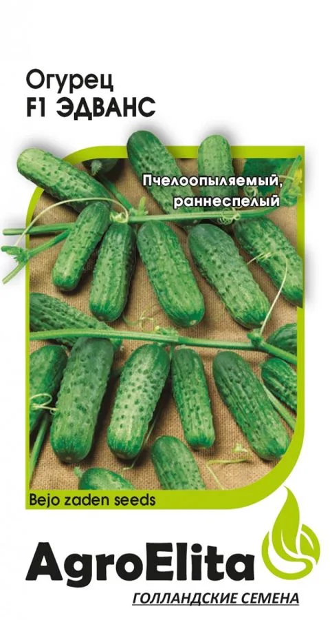 Огурец Эдванс F1