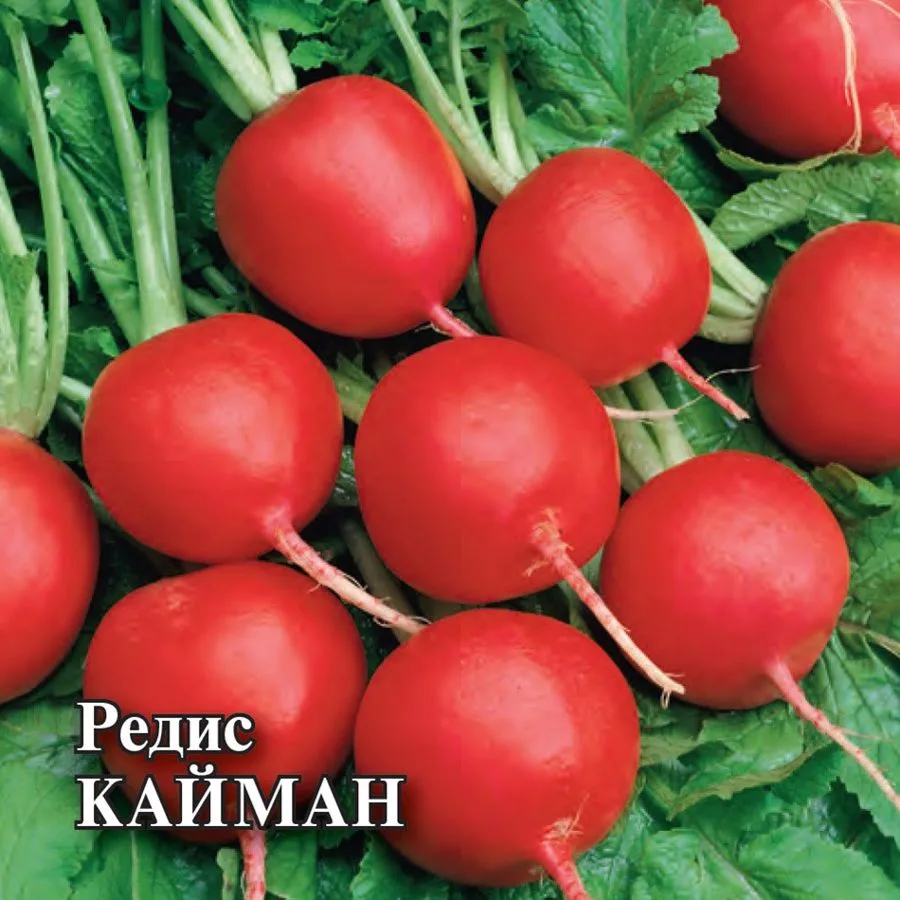 Редис Кайман