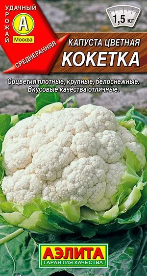 Капуста цветная Кокетка