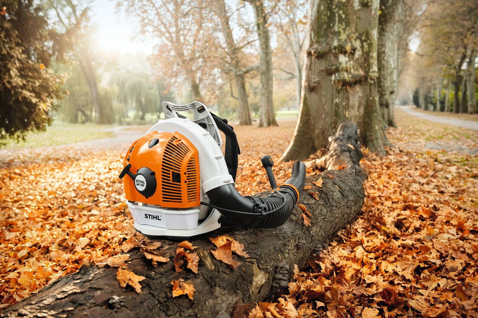 Бензиновая воздуходувка STIHL BR 700 — фото производителя