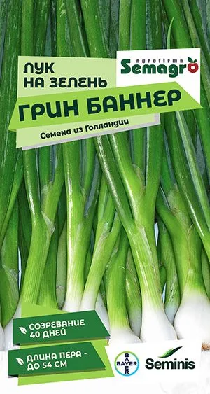 Лук на зелень Грин Баннер