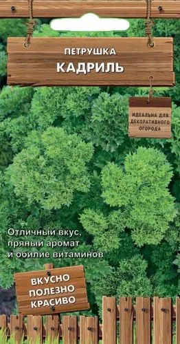 Петрушка Кадриль