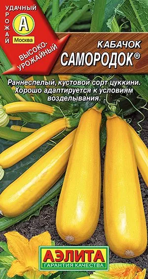 Кабачок цуккини Самородок