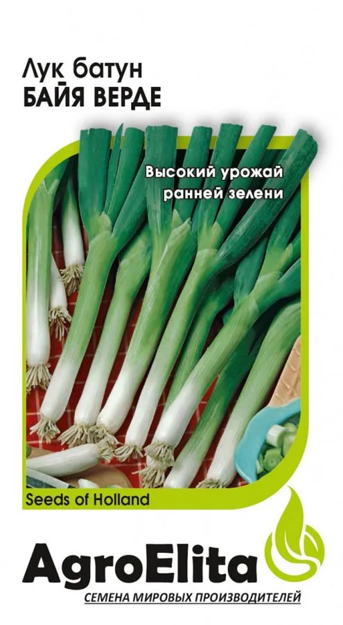 Лук батун Байя Верде