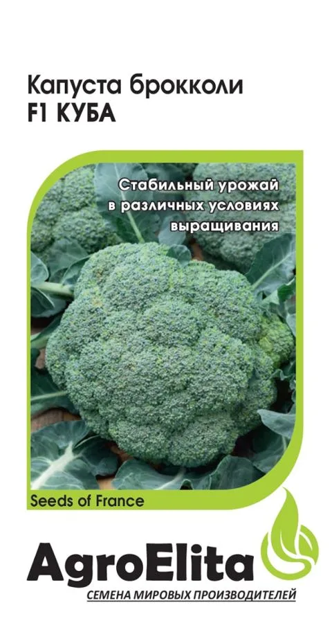 Капуста брокколи Куба F1