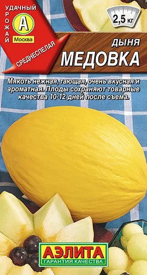 Дыня Медовка