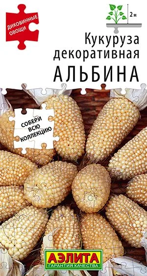 Кукуруза декоративная Альбина