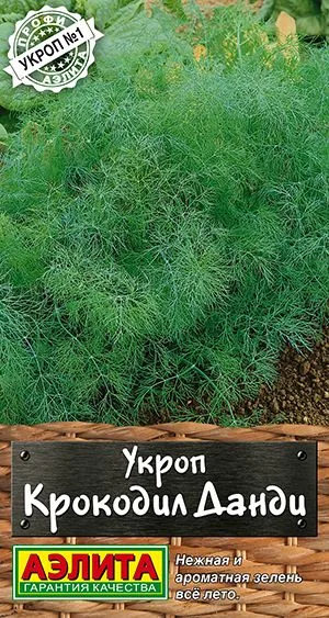 Укроп Крокодил Данди