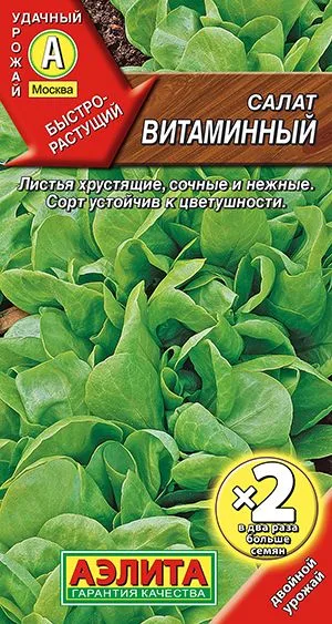 Салат Витаминный листовой