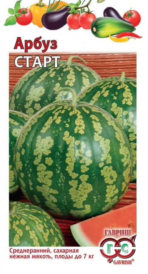 Арбуз Старт