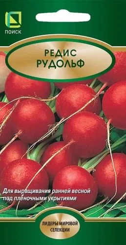 Редис Рудольф