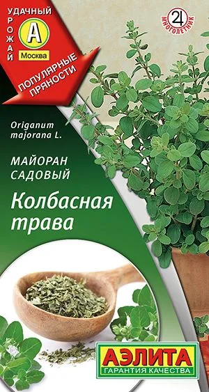 Пряные травы Майоран садовый Колбасная трава