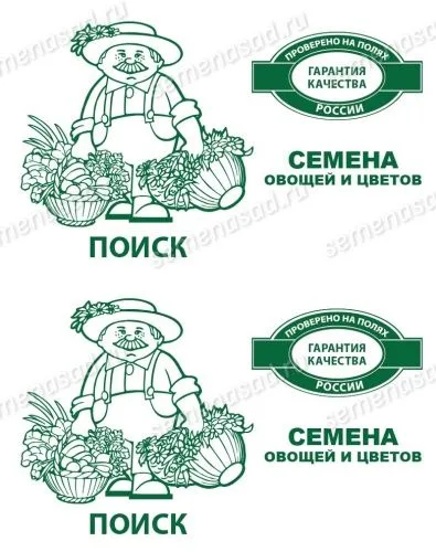 Арбуз Холодок