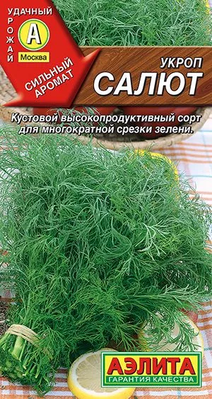 Укроп Салют