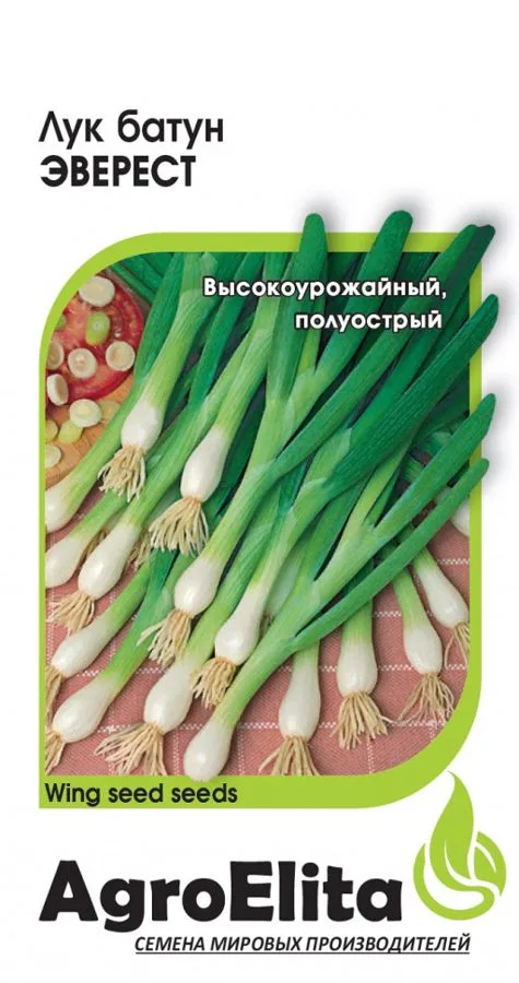 Лук батун Эверест, на зелень