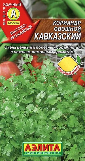 Кинза Кориандр овощной Кавказский